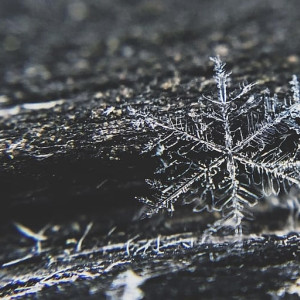 Прогноз погоды во Владимирской области на 2 декабря