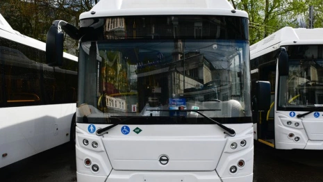 Владимир после четырех провальных аукционов получил 14 новых автобусов