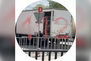 Львы напали на человека во владимирском цирке у «Мегаторга»