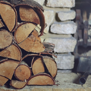 Участвующие в СВО владимирцы получили льготы на покупку дров и леса