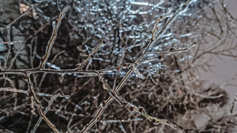 Ледяной дождь во Владимире. Что это такое и как спастись от его последствий