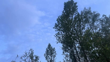 Пропавшую в Гусь-Хрустальном 60-летнюю женщину нашли живой