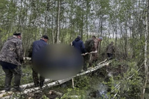 Гибель 38-летнего жителя Гусь-Хрустального района в лесу обернулась уголовным делом