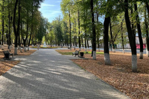 Во Владимире назвали главные проблемы города за вторую половину сентября-2024