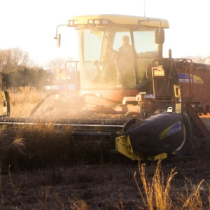 Во Владимирской области ферма выплатила дочери погибшего сотрудника полмиллиона 