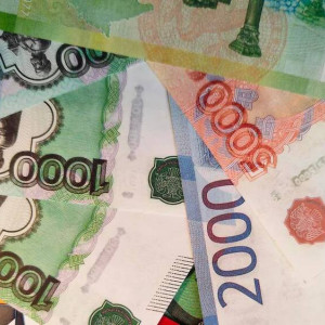 Глава Коврова выписала себе премию после повышения зарплаты на полмиллиона