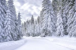 Пропавшую в январе 26-летнюю жительницу Владимира нашли живой