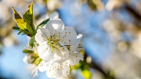 Прогноз погоды на 21 апреля во Владимирской области