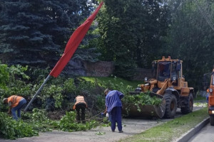 Упавшие на Князь-Владимирском кладбище деревья убрали