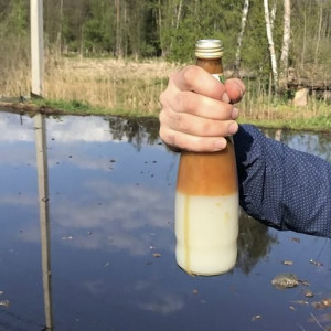 К массовой гибели рыбы в озере под Киржачом привела 500-кратная концентрация нефти