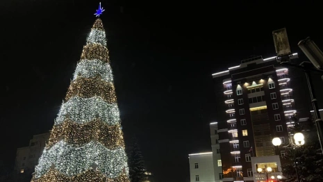 Прогноз погоды во Владимирской области на 31 декабря 2025 года