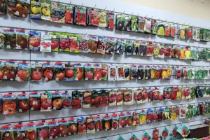 С полок владимирских магазинов исчезнут «Стерлядь» и «Корюшка»