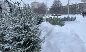 Во Владимире открылись 7 елочных базаров