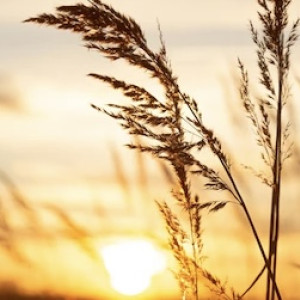 Прогноз погоды во Владимирской области на 29 сентября