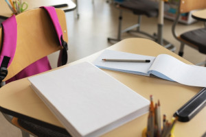 Во Владимире для старшеклассников откроют предпринимательские классы