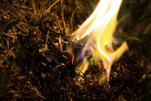 Во Владимирской области до 6 июля сохранится четвертый класс пожарной опасности