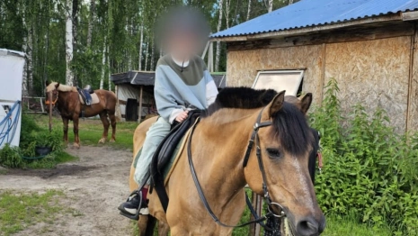Владелицу конного центра в Киржачском районе будут судить за падение ребенка с лошади