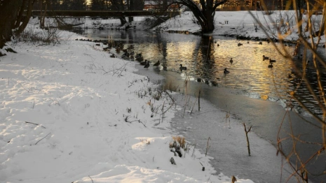 Прогноз погоды на 19 марта 2024 года во Владимире и области