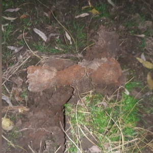 Во Владимире в пойме Клязьмы нашли минометную мину