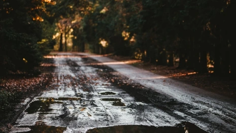 Жителям Владимирской области пообещали аномально теплый конец октября