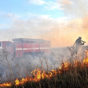 Во Владимирской области с начала пожароопасного сезона произошло 36 лесных пожаров