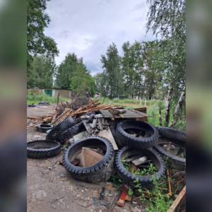 Владимирцы завалили губернатора жалобами после новости о следящей за чистотой нейросети