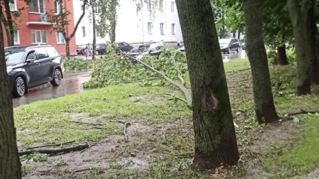 Последствия урагана «Эдгар» во Владимире показали на фото