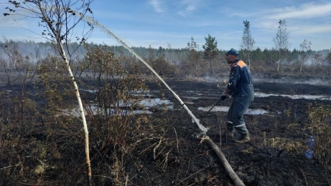 Торфяной пожар во Владимирской области потушили спустя 4 дня