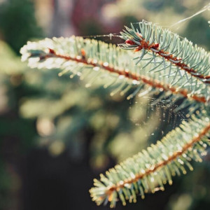 Март 2024 года стал десятым подряд рекордно теплым месяцем на Земле