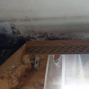 Плесень захватила квартиру семьи с 4 маленькими детьми