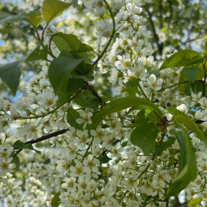 Жителям Владимирской области пообещали солнечную погоду и +22 градуса