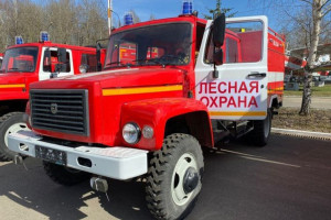 Во Владимирской области лето-2024 стало самым жарким и сухим за 5 лет