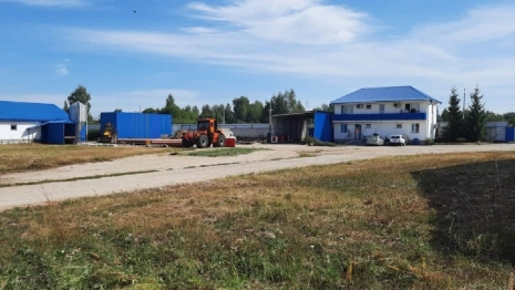 Реанимация свинокомплекса под Александровом принесет 500 рабочих мест