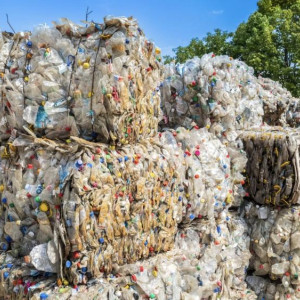 Бастрыкин поручил возбудить уголовное дело из-за опасного мусорного полигона под Киржачом