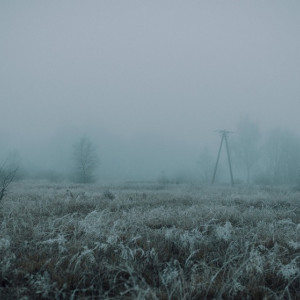 Во Владимирскую область придут ночные заморозки