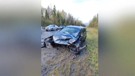 
Стали известны подробности ДТП под Гусь-Хрустальным с вырванным у машины двигателем