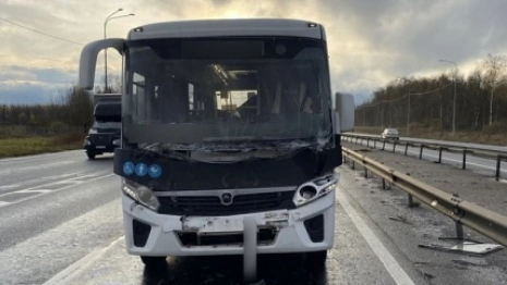 На М-7 в Собинском районе 3 пассажира автобуса пострадали после ДТП с фурой