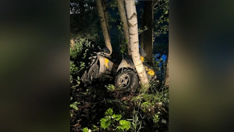 Под Камешково разбился водитель влетевшего в дерево болотохода