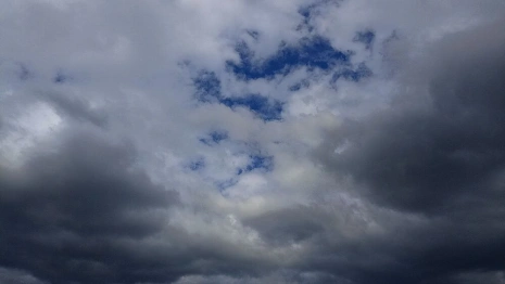 Во Владимирскую область на целый день придет дождь
