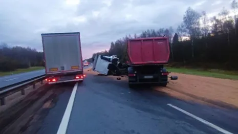 Во Владимирской области столкнулись два КамАЗа: водитель пострадал