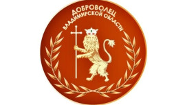 Во Владимирской области появится новый знак отличия для волонтеров