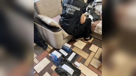 Двоих жителей Владимира задержали за работу частными детективами