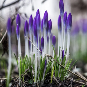 Синоптики пообещали потепление до +13 градусов во Владимирской области