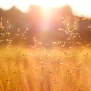 Синоптики рассказали о погоде в выходные во Владимирской области