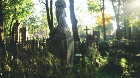 Жители владимирской деревни пожаловались на строительство сельского кладбища