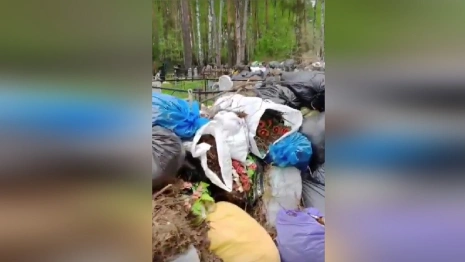 В Коврове кладбище превратили в свалку мусора
