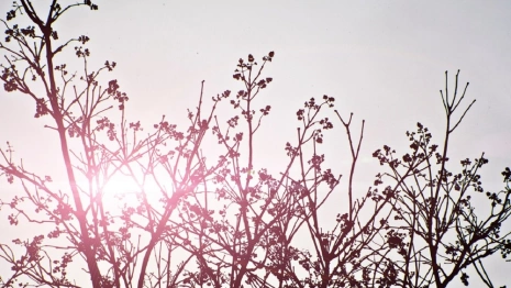 Прогноз погоды во Владимирской области на 3 марта 