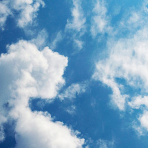 Прогноз погоды во Владимирской области на 21 августа