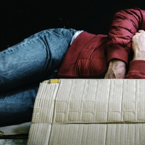 В лесу у ТЭЦ во Владимире нашли разложившийся труп 66-летнего мужчины