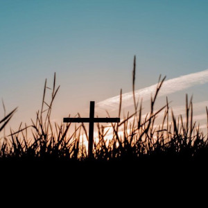 Во Владимирской области назвали районы с наибольшей смертностью
